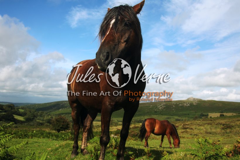 jvo_galerie_045.jpg